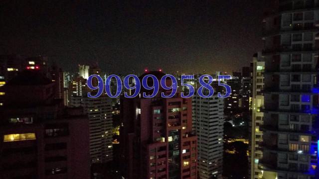 OUE Twin Peaks (D9), Condominium #122713132